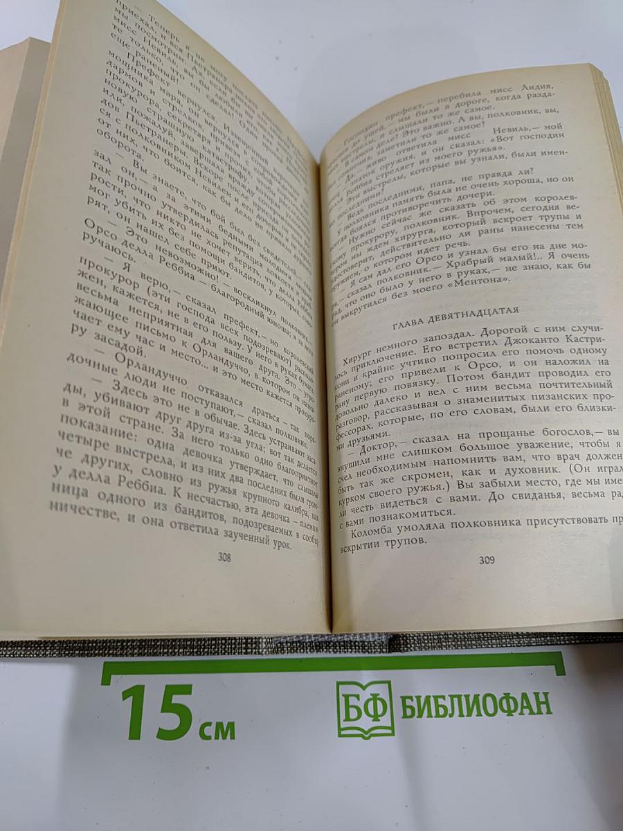Избранное: Новеллы, Хроника царствования Карла IX