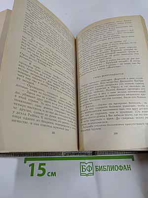 Избранное: Новеллы, Хроника царствования Карла IX