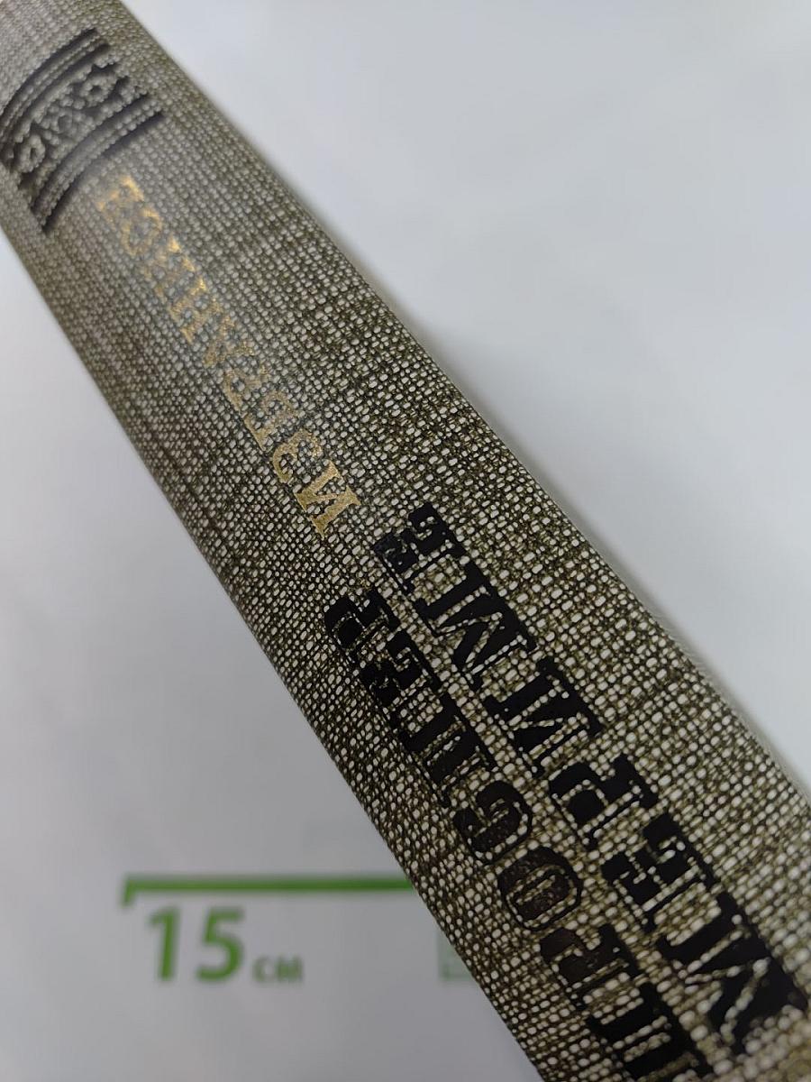 Избранное: Новеллы, Хроника царствования Карла IX