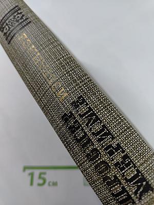 Избранное: Новеллы, Хроника царствования Карла IX