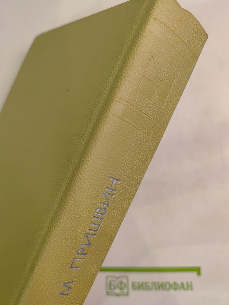 Сказка о правде