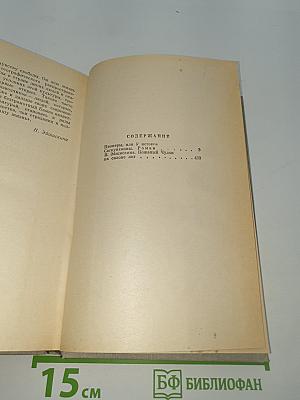 Пионеры