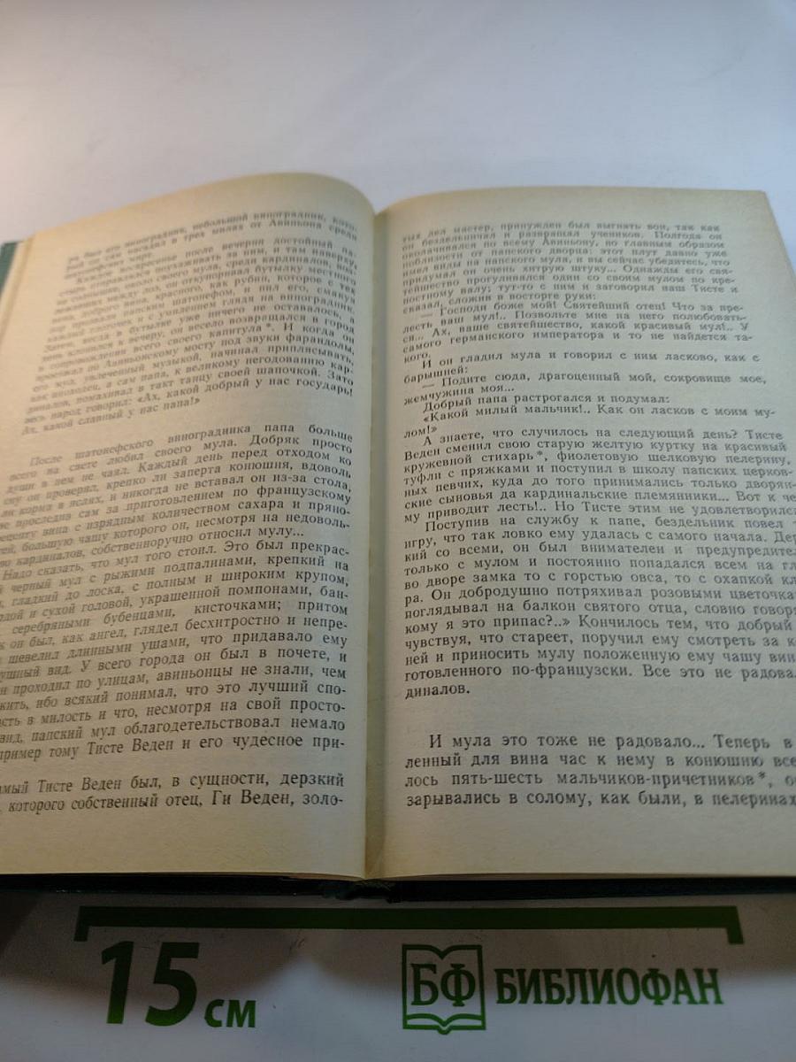 Рукопись, зарытая в саду Эдема