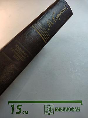 Собрание сочинений. Том десятый. Городок Окуров. Жизнь Матвея Кожемякина. Наброски (1909-1911)