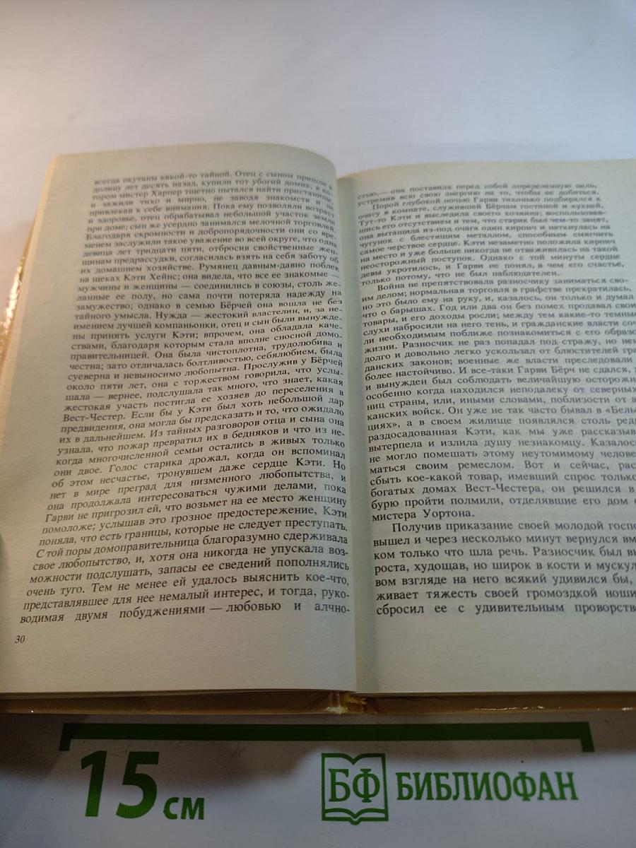 Шпион, или Повесть о нейтральной территории