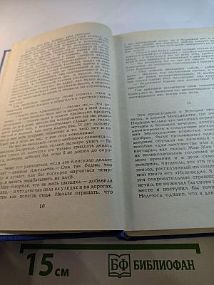 Консуэло. Том V. Собрание сочинений