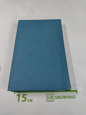 Одиссея последнего романтика