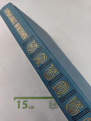 Одиссея последнего романтика