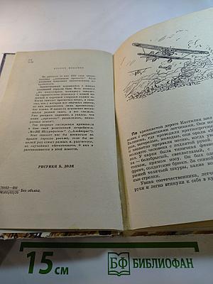 «Штурмфогель» без свастики