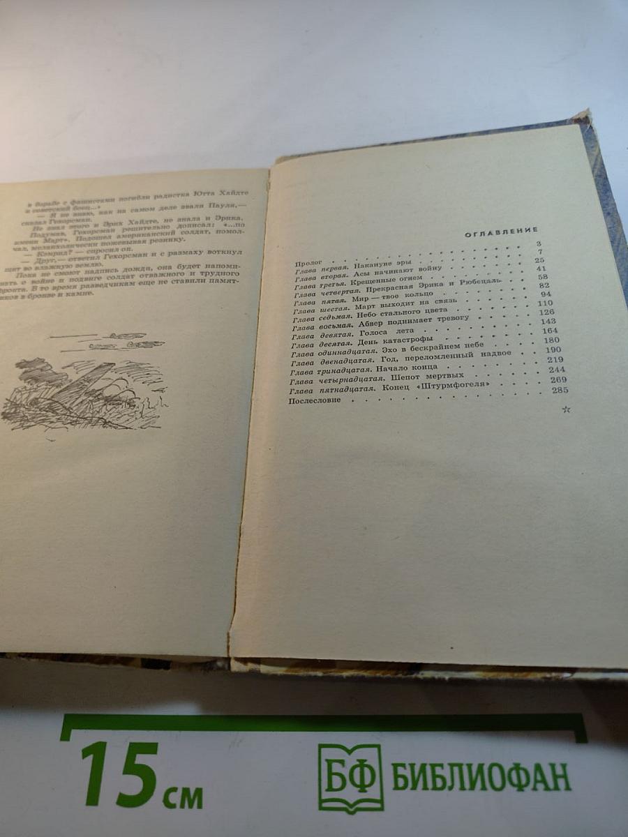 «Штурмфогель» без свастики