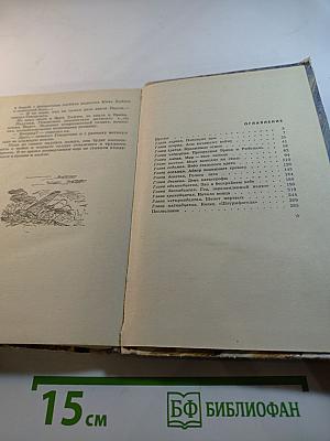 «Штурмфогель» без свастики