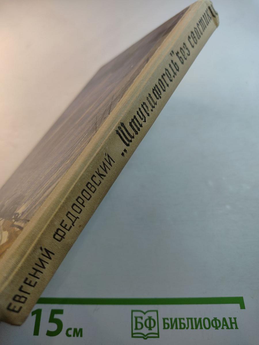 «Штурмфогель» без свастики