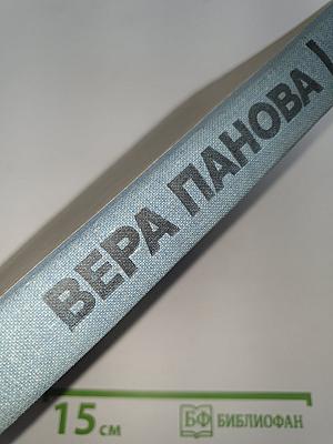 Спутники
