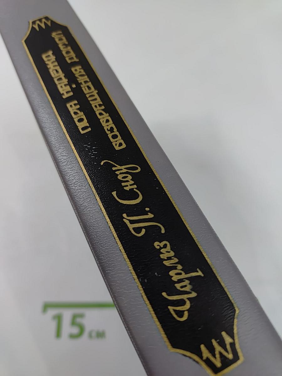 Пора надежд. Возвращения домой