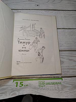 Тимур и его команда