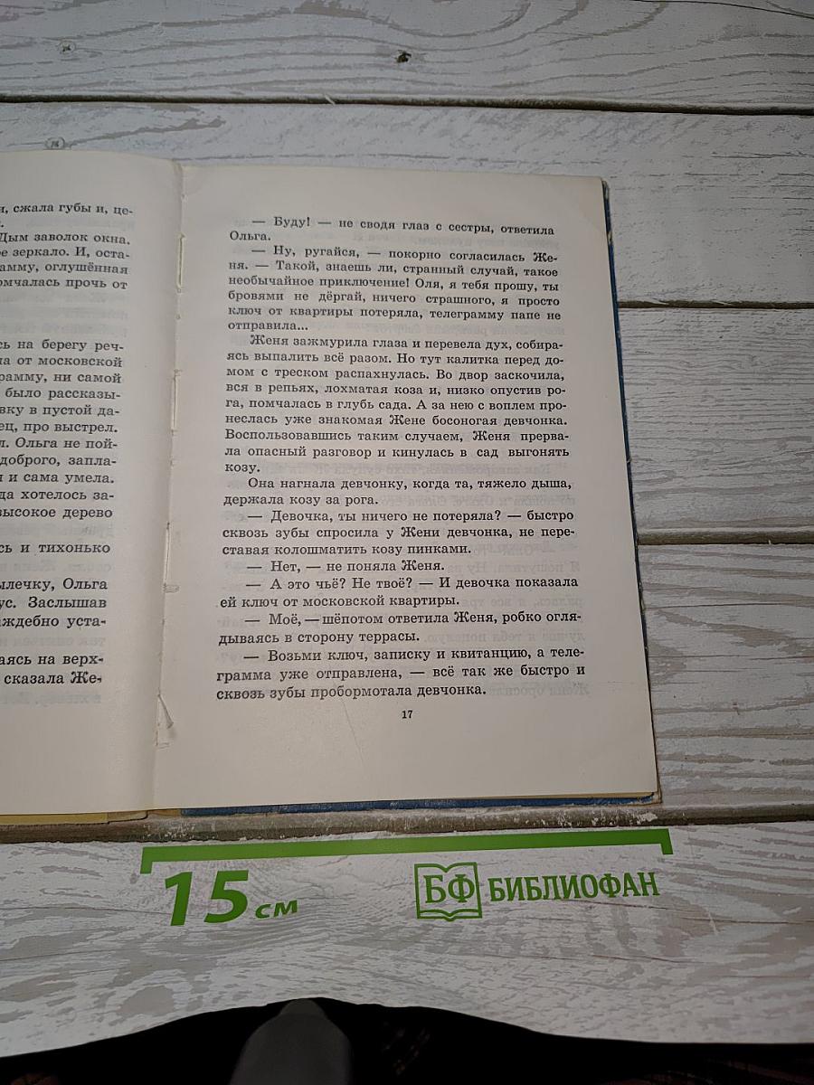 Тимур и его команда