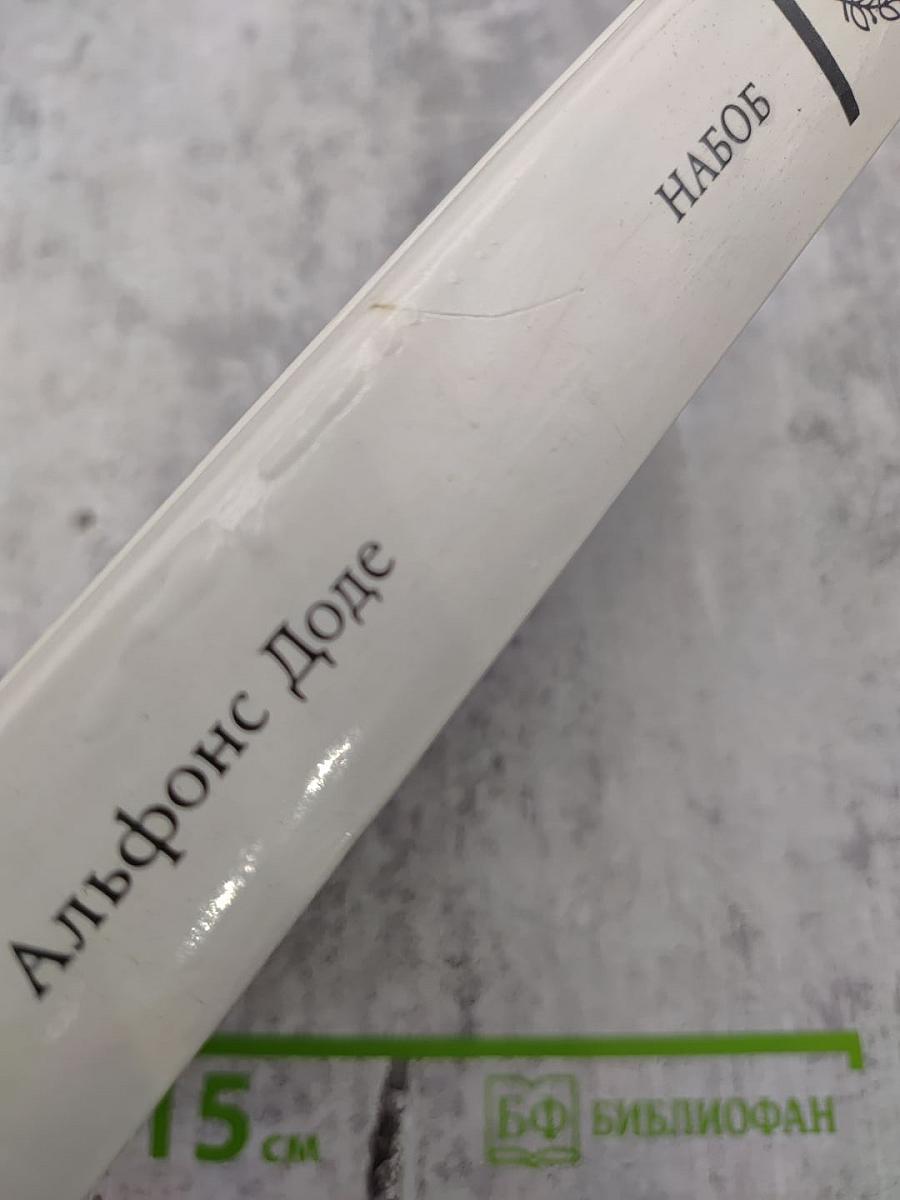 Набоб. Рассказы