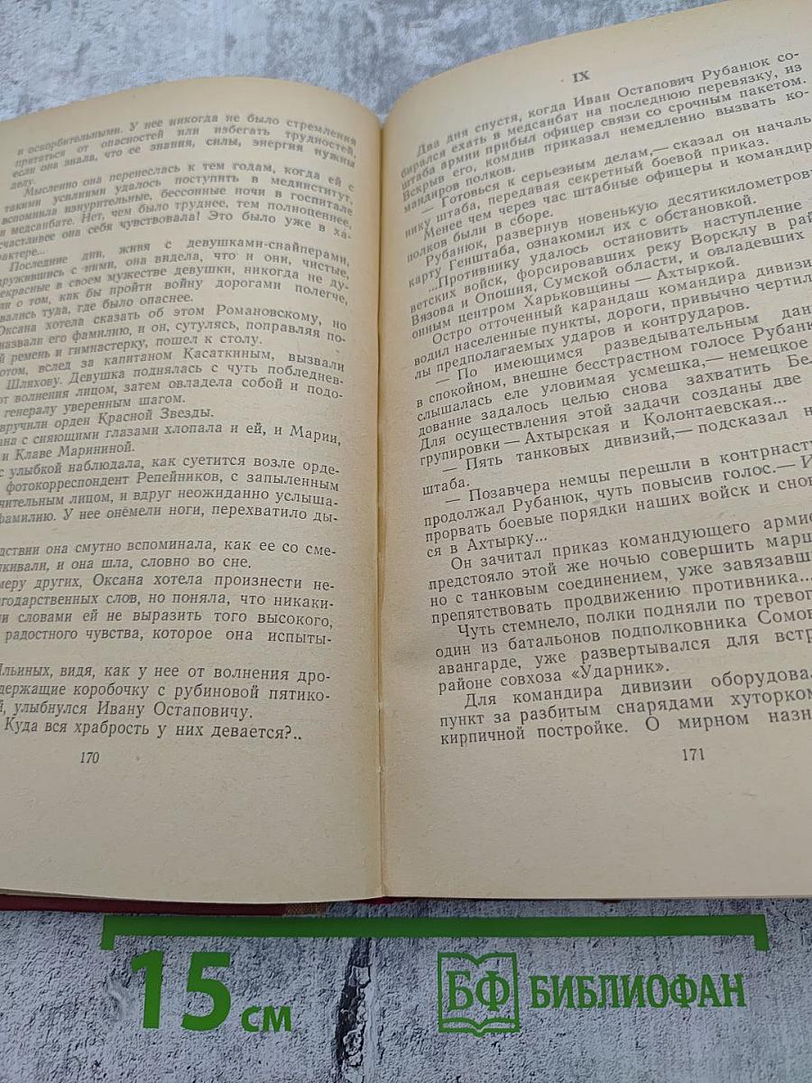 Семья Рубанюк. Книга вторая