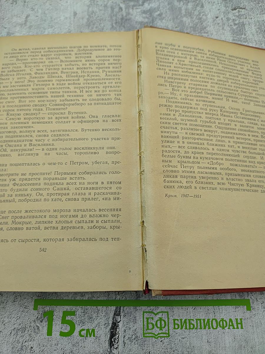 Семья Рубанюк. Книга вторая