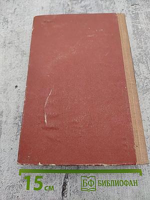 Семья Рубанюк. Книга вторая