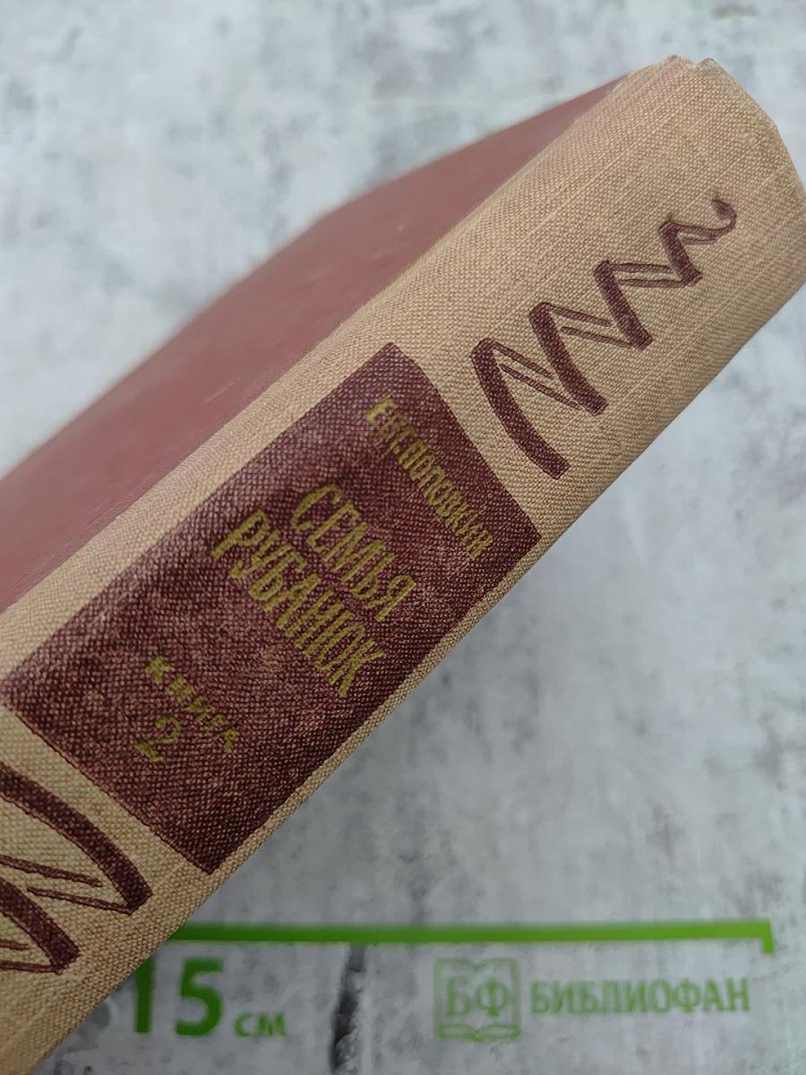 Семья Рубанюк. Книга вторая