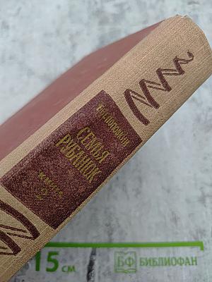 Семья Рубанюк. Книга вторая