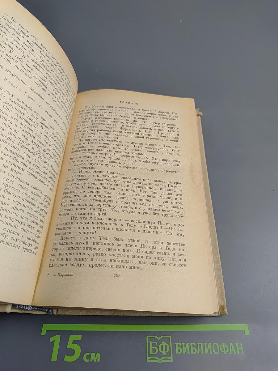 Я умею прыгать через лужи. Это трава. В сердце моём.