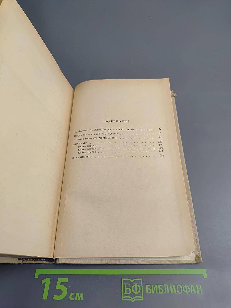 Я умею прыгать через лужи. Это трава. В сердце моём.