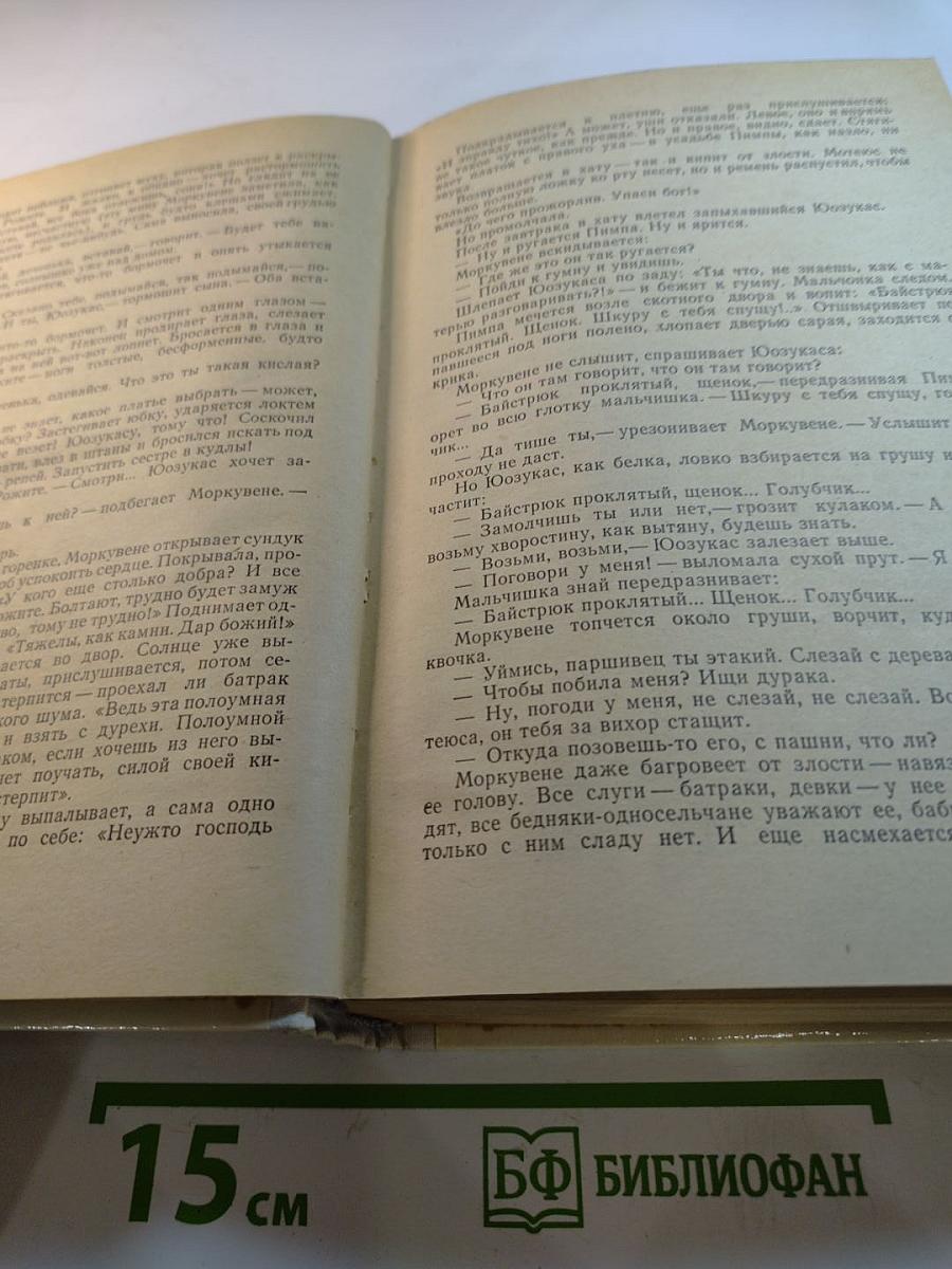 Юность. Не всходи, солнышко! Здесь наш дом