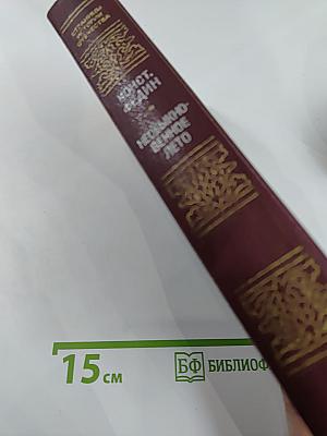 Необыкновенное лето