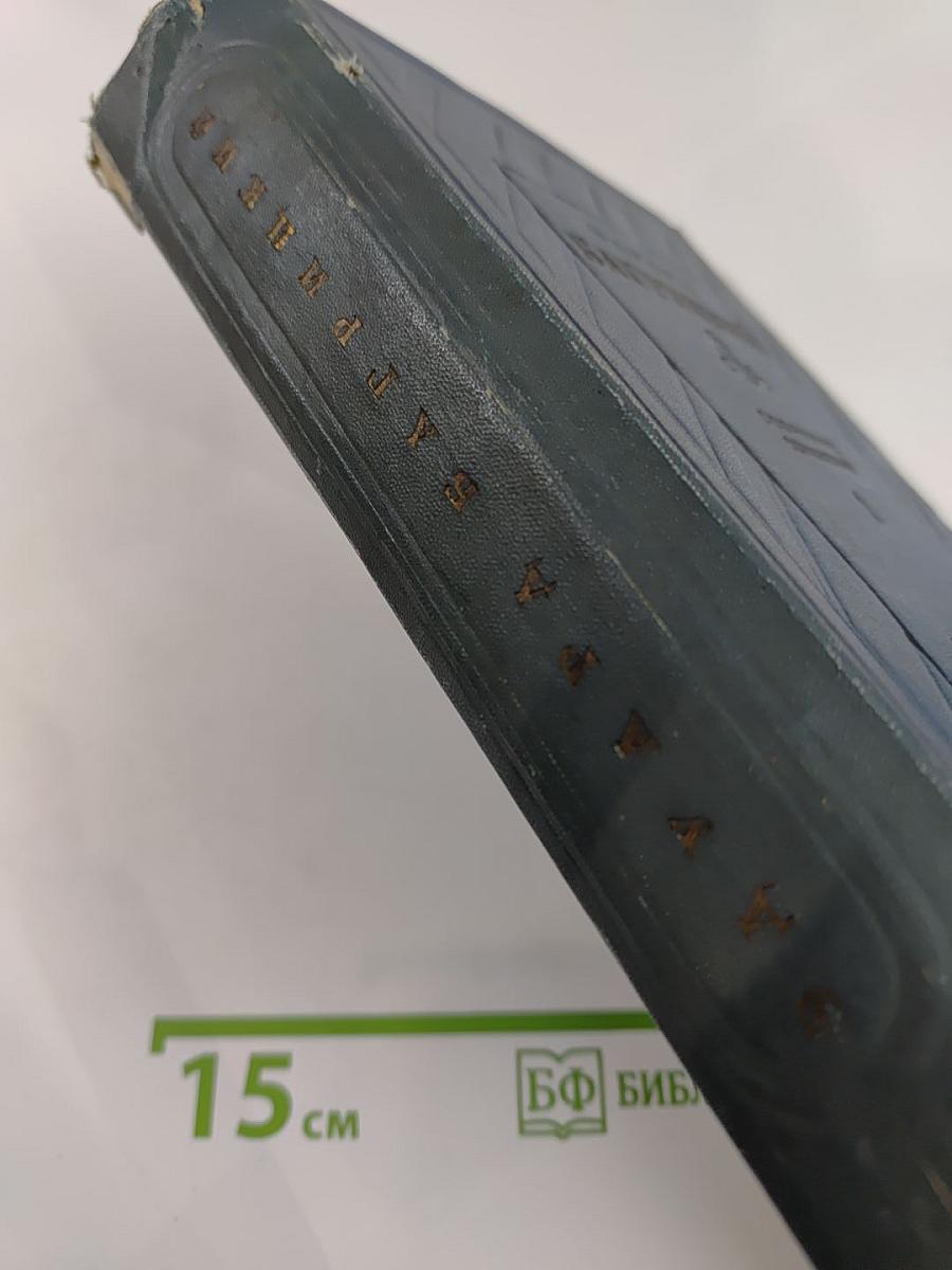 Эдуард Багрицкий. Собрание сочинений. Том первый