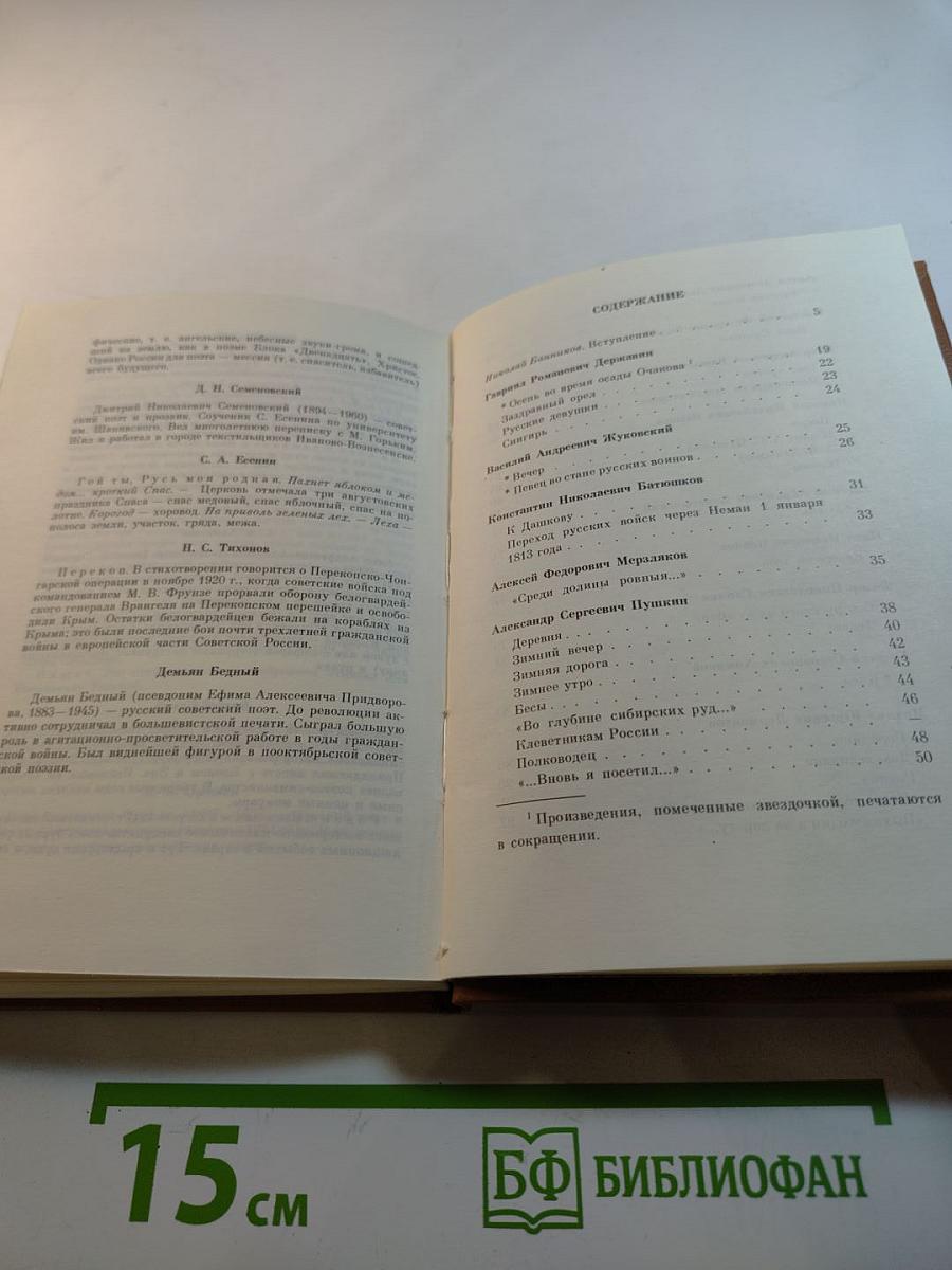 Родина. Стихи русских поэтов