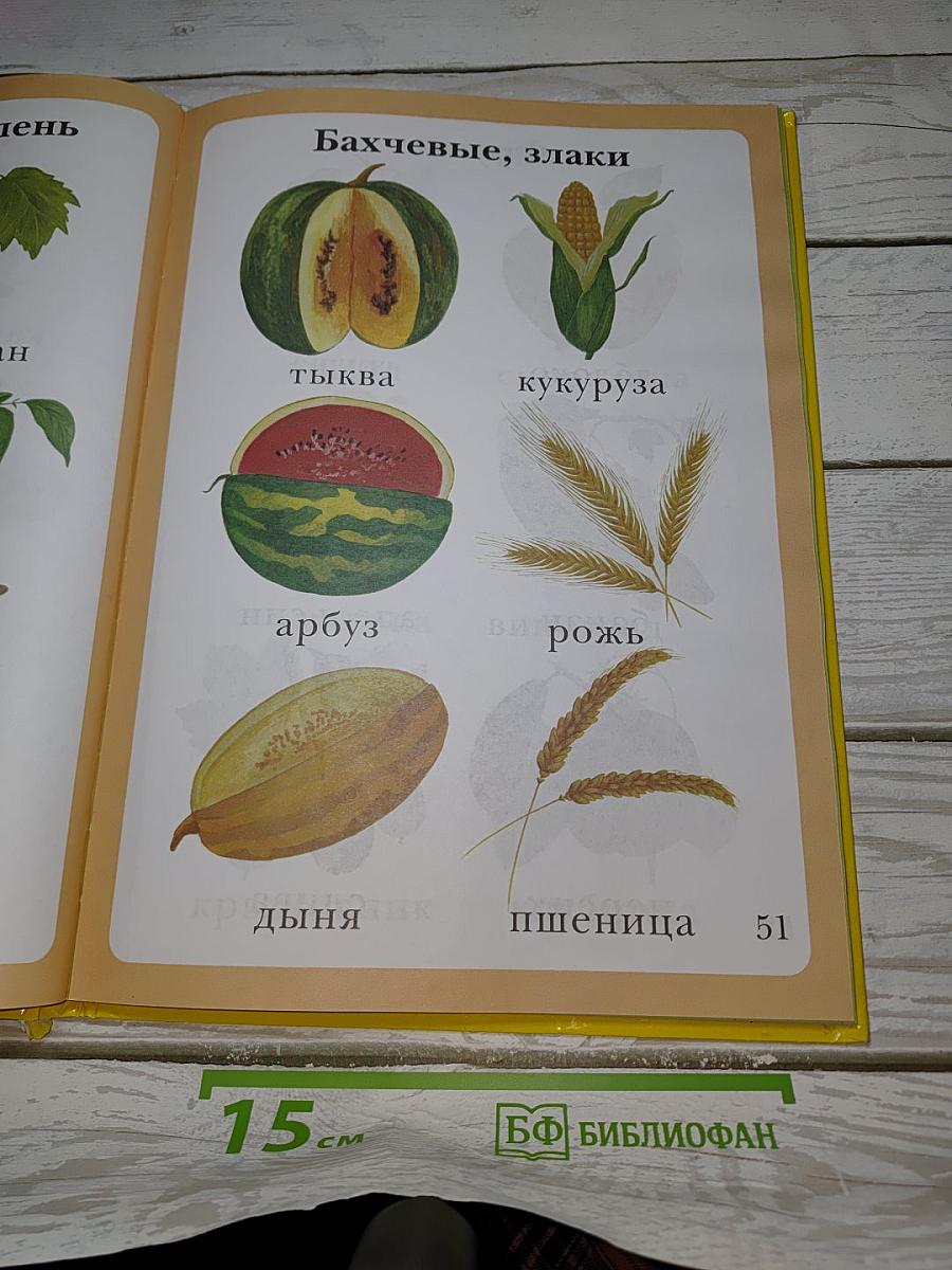 Моя первая книга. Самая любимая