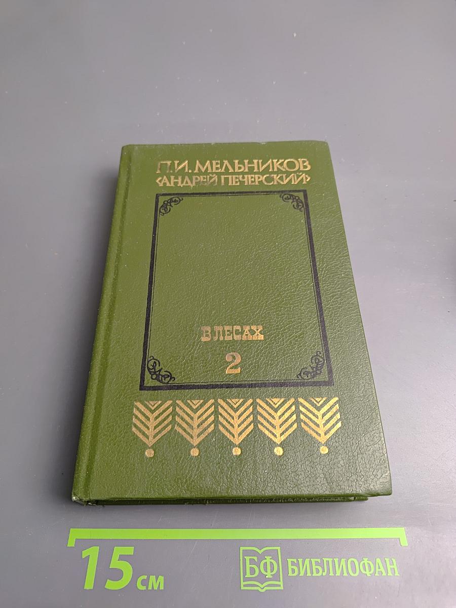 В лесах, Книга вторая