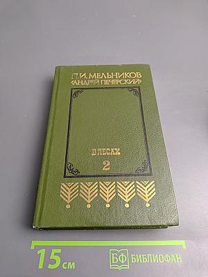 В лесах, Книга вторая