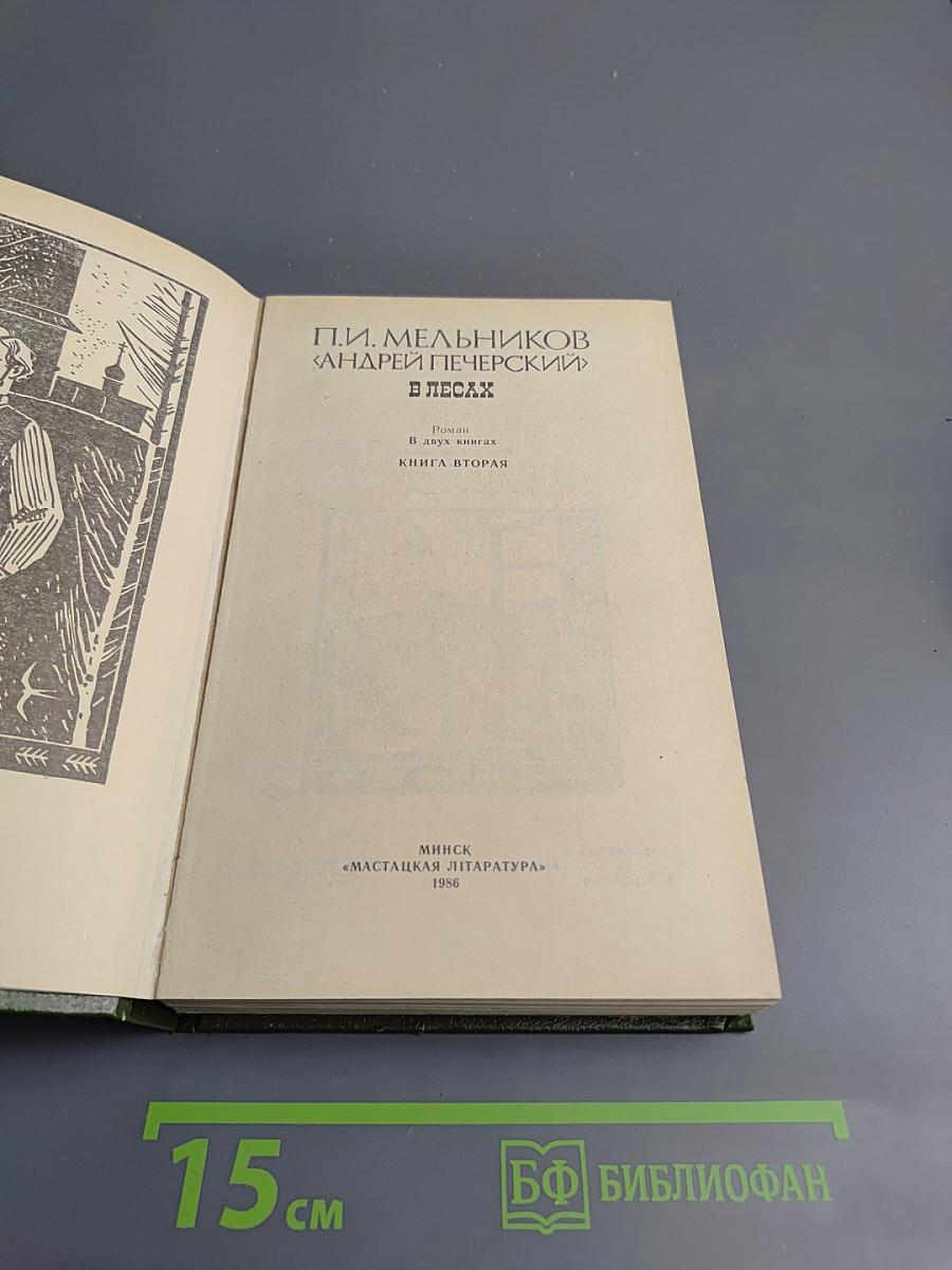 В лесах, Книга вторая