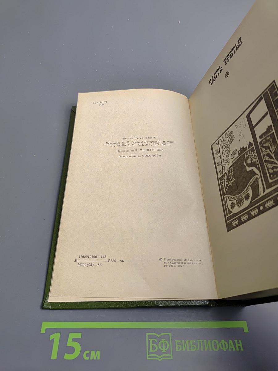 В лесах, Книга вторая