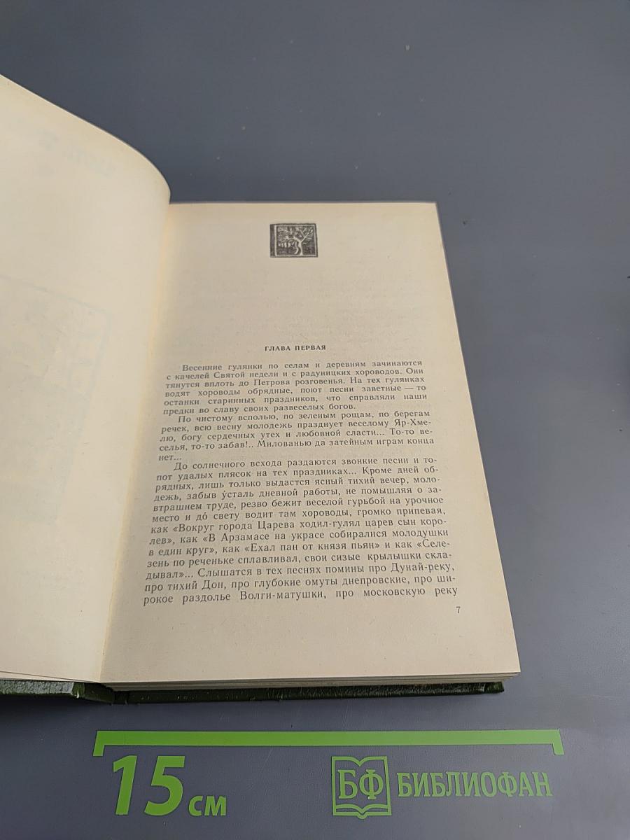 В лесах, Книга вторая