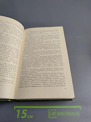 В лесах, Книга вторая