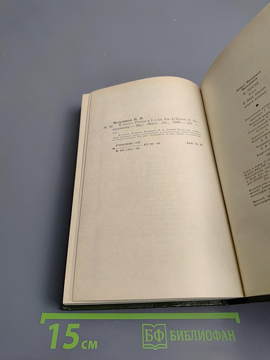 В лесах, Книга вторая