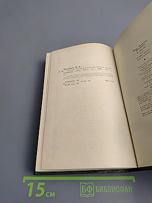 В лесах, Книга вторая