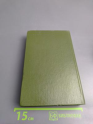 В лесах, Книга вторая