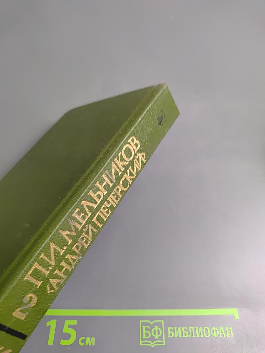 В лесах, Книга вторая