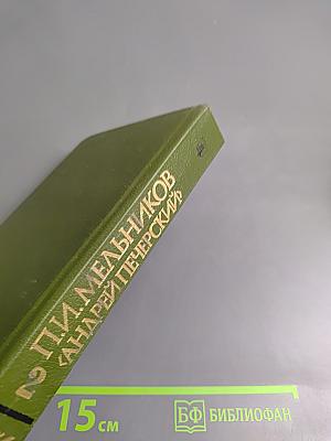 В лесах, Книга вторая