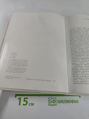 Анри Матисс, Роман, часть 1