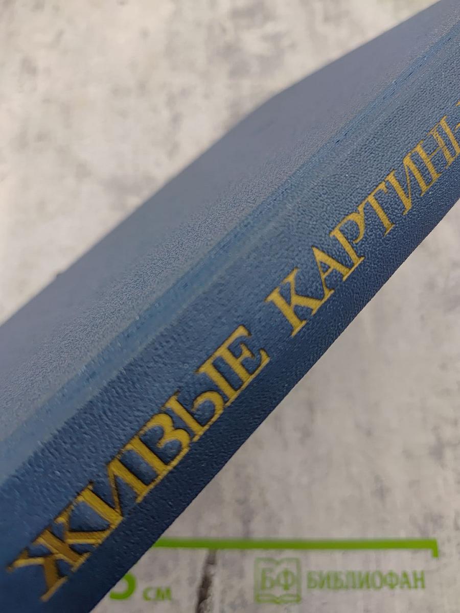 Живые картины. Повести и рассказы писателей «натуральной школы»