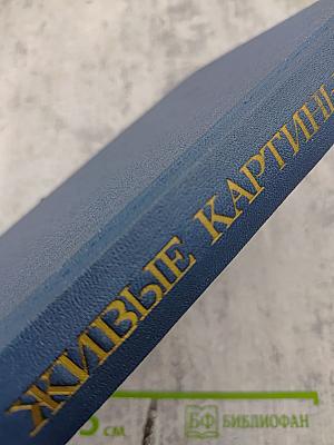 Живые картины. Повести и рассказы писателей «натуральной школы»