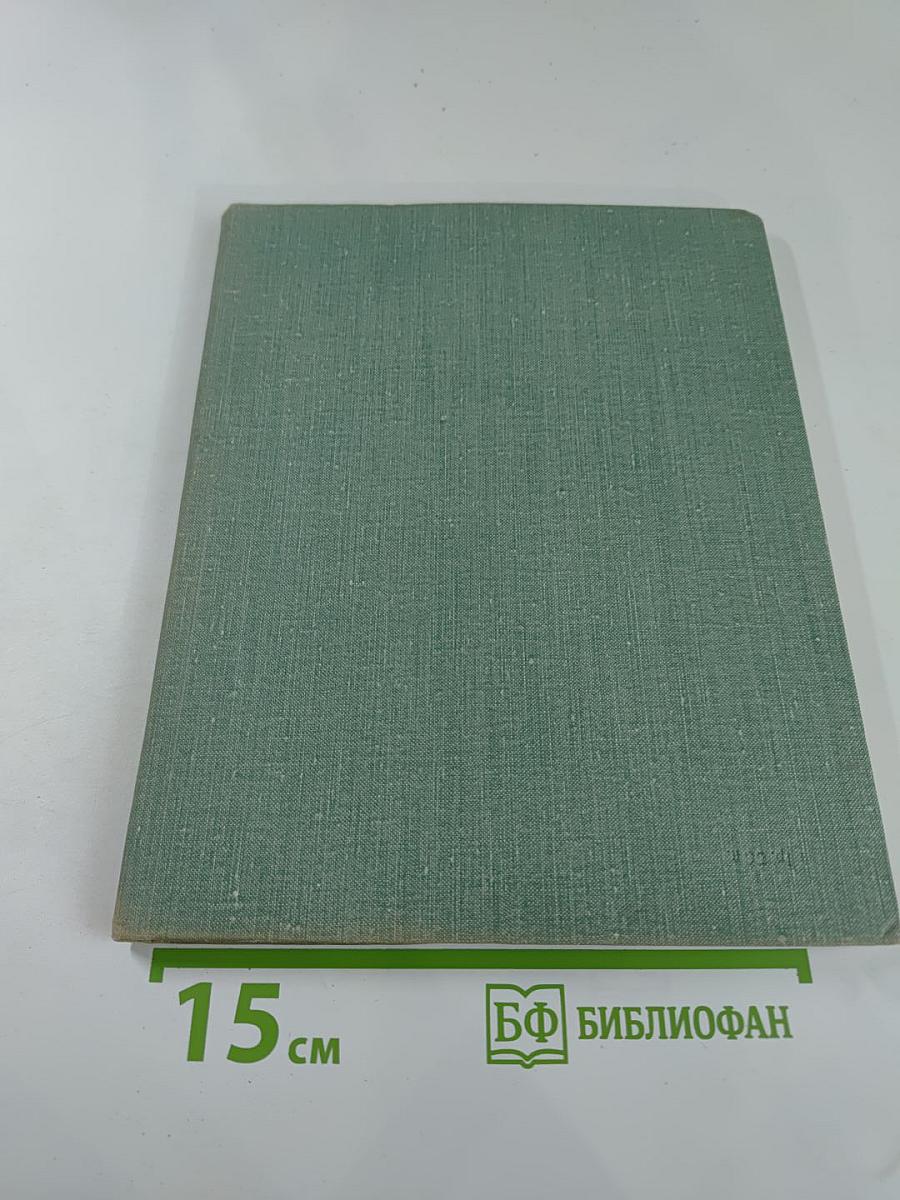 Рядом с Зимним