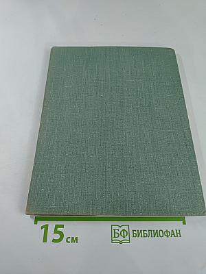 Рядом с Зимним