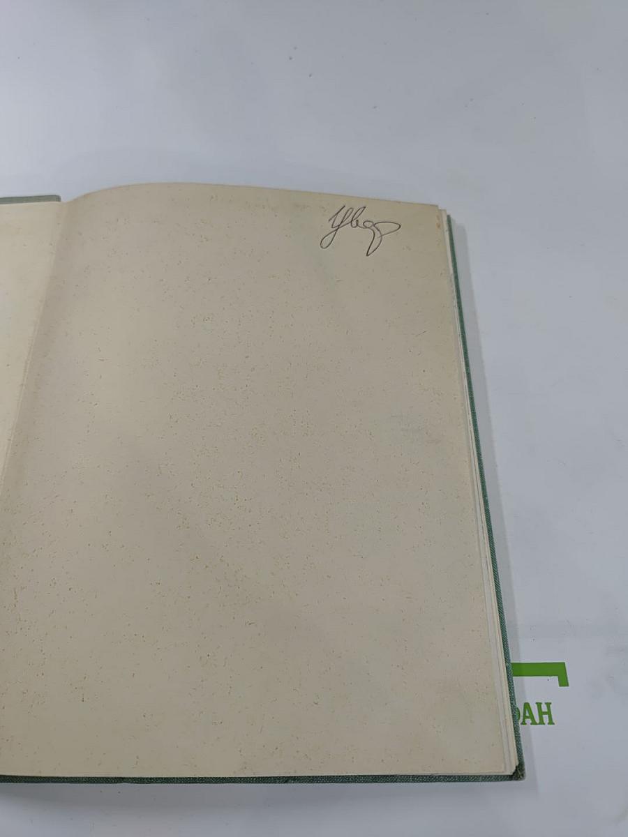 Рядом с Зимним